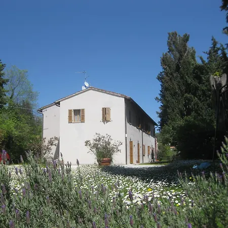 Almadomus * Urbino